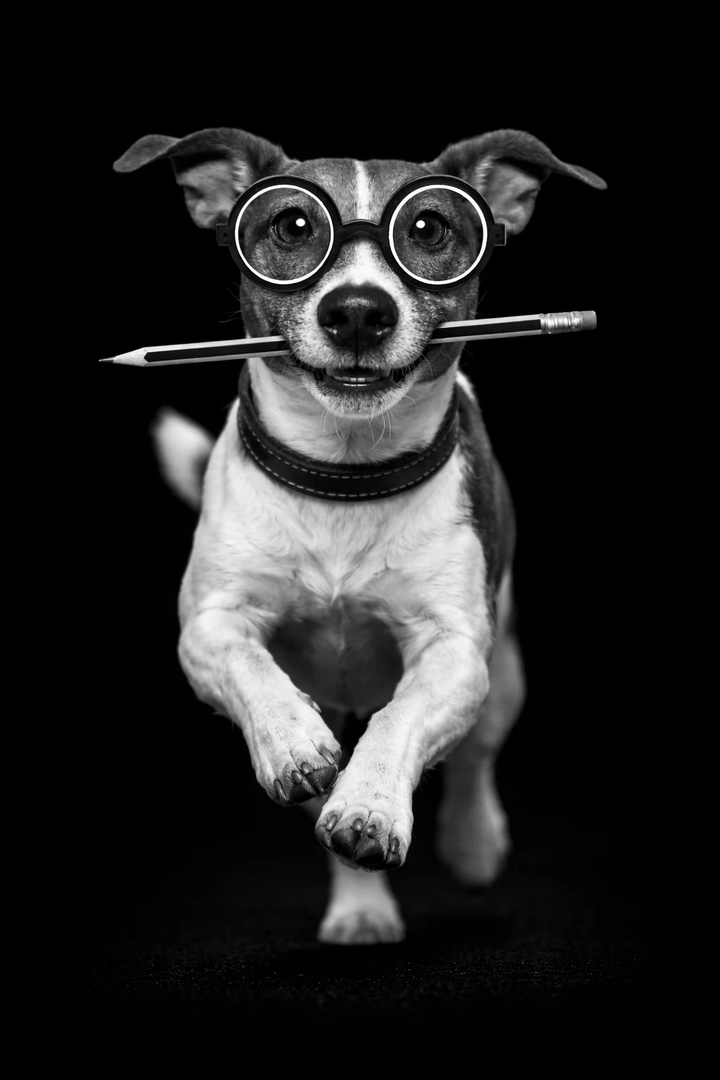 Grendesign’s running dog with pencil