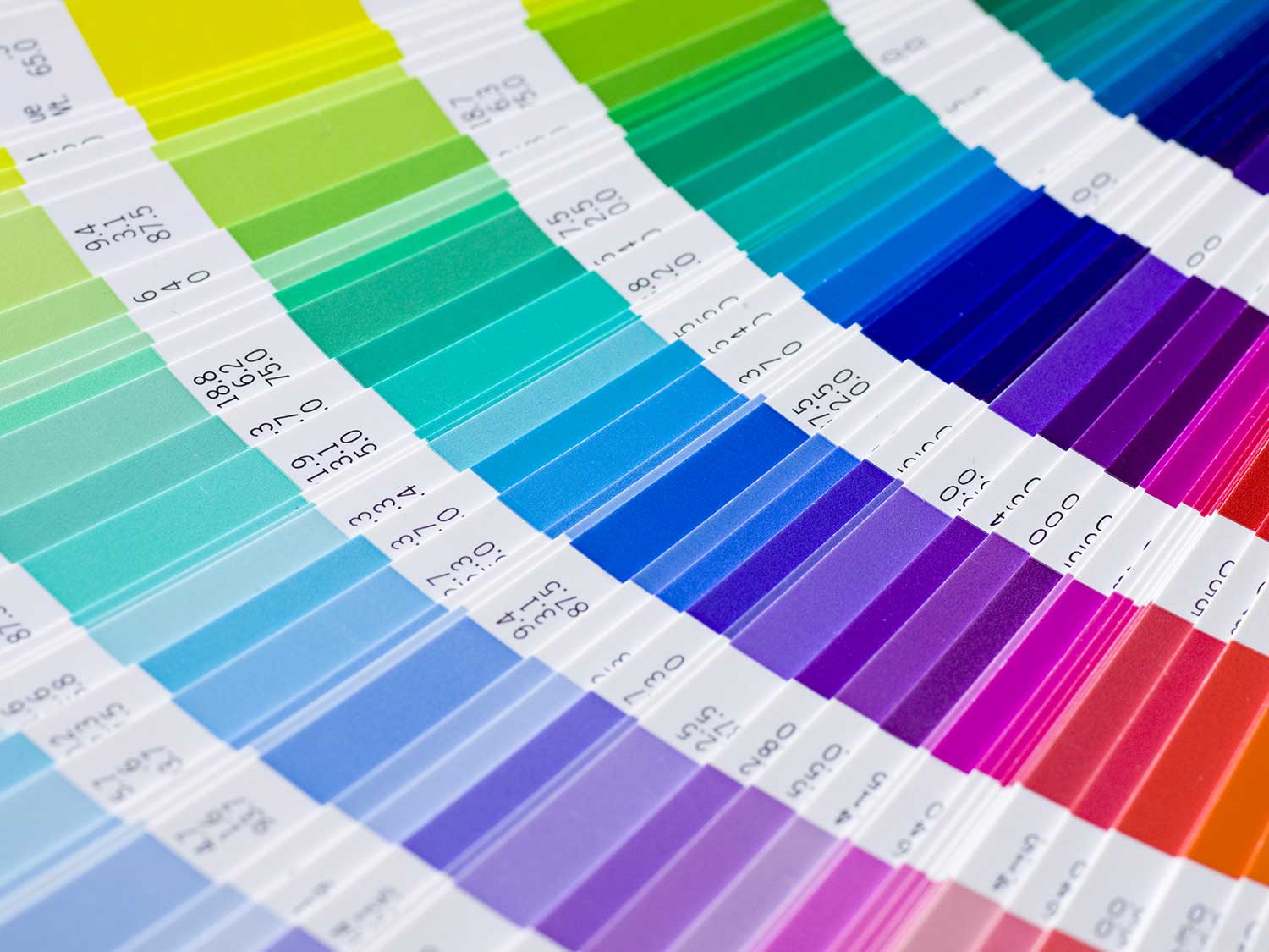 Colours that talk for your brand