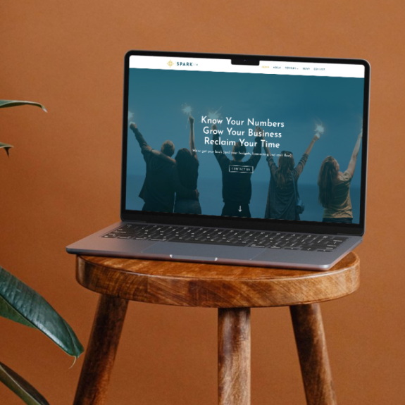 Spark CFO Website (2)
