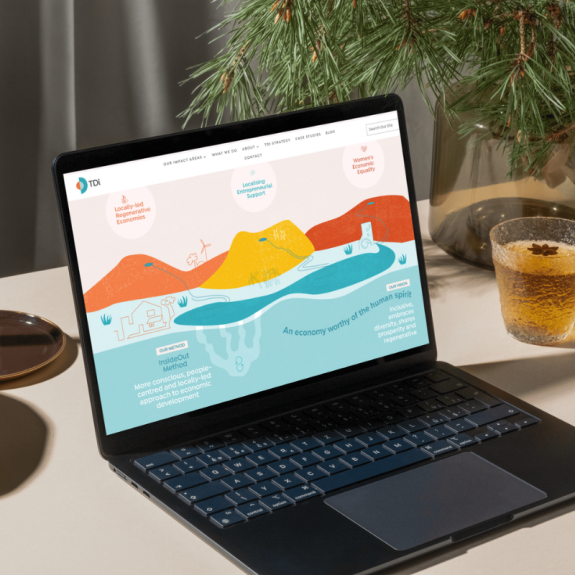 TDI - Website (1)
