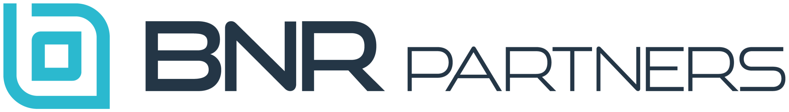 BNR Partners