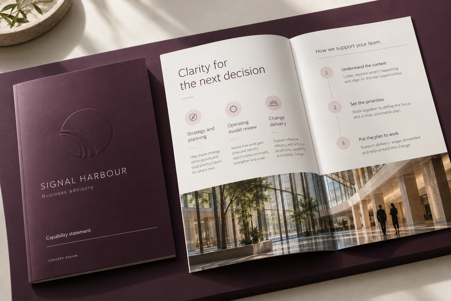 Signal Harbor · business advisory capability statement concept — fictional concept design for private review