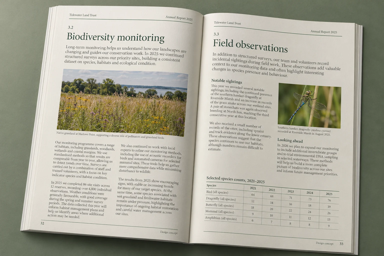 Tidewater Land Trust · biodiversity monitoring report concept — fictional design concept; sample content and figures are illustrative