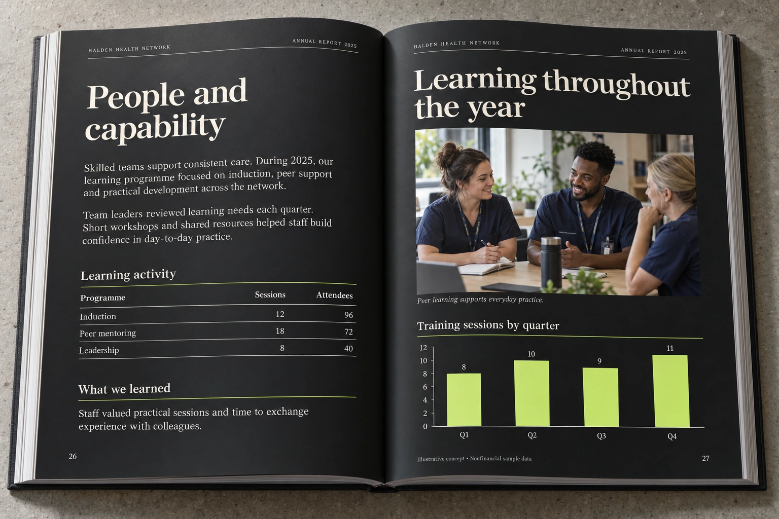 Halden Health Network · people and capability report concept — illustrative concept with nonfinancial sample data